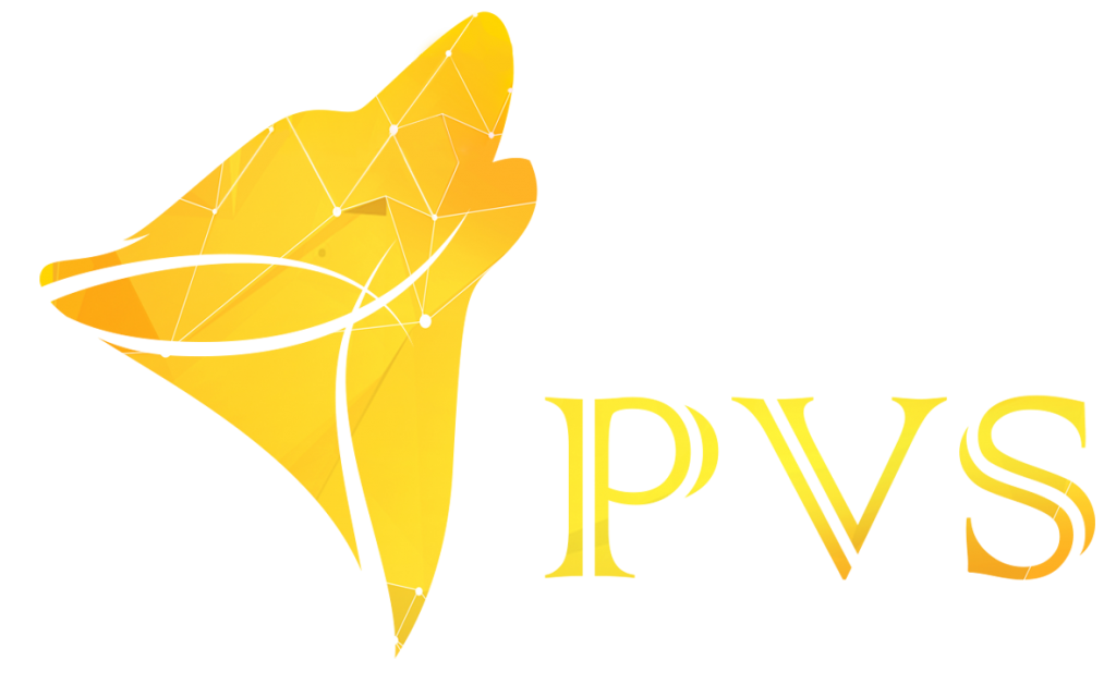 PVS Solution Pte LTd